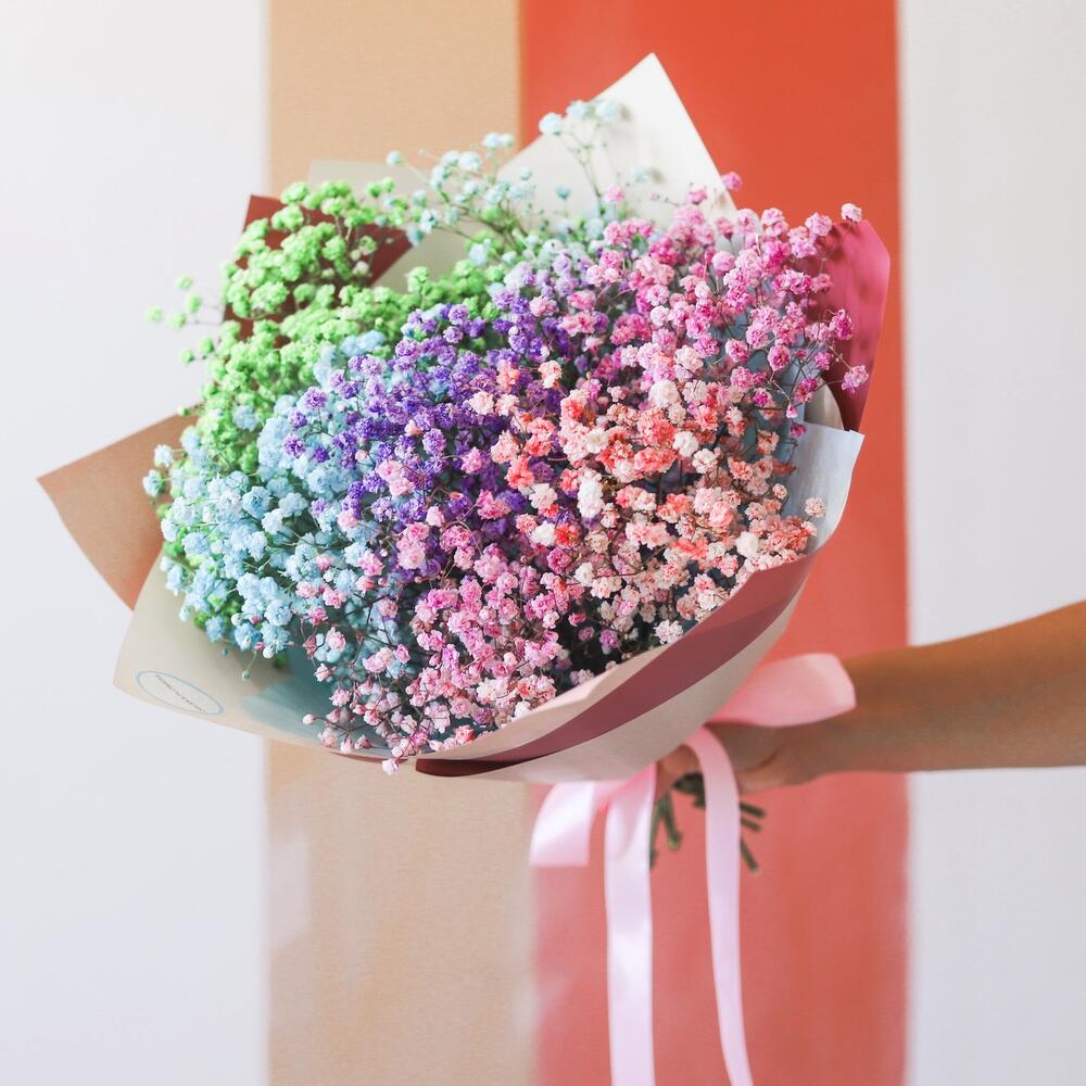 Гипсофила, Радуга в руках