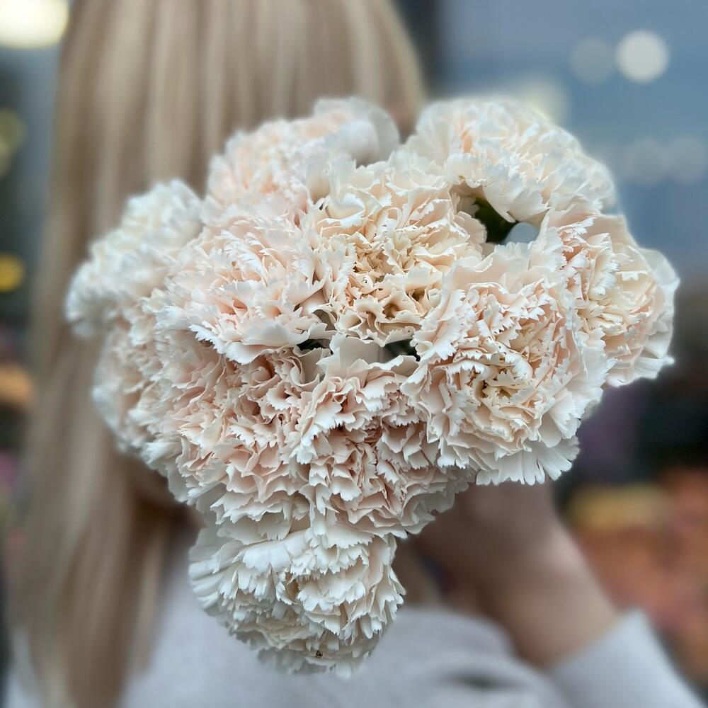 Букет из 11 диантусов