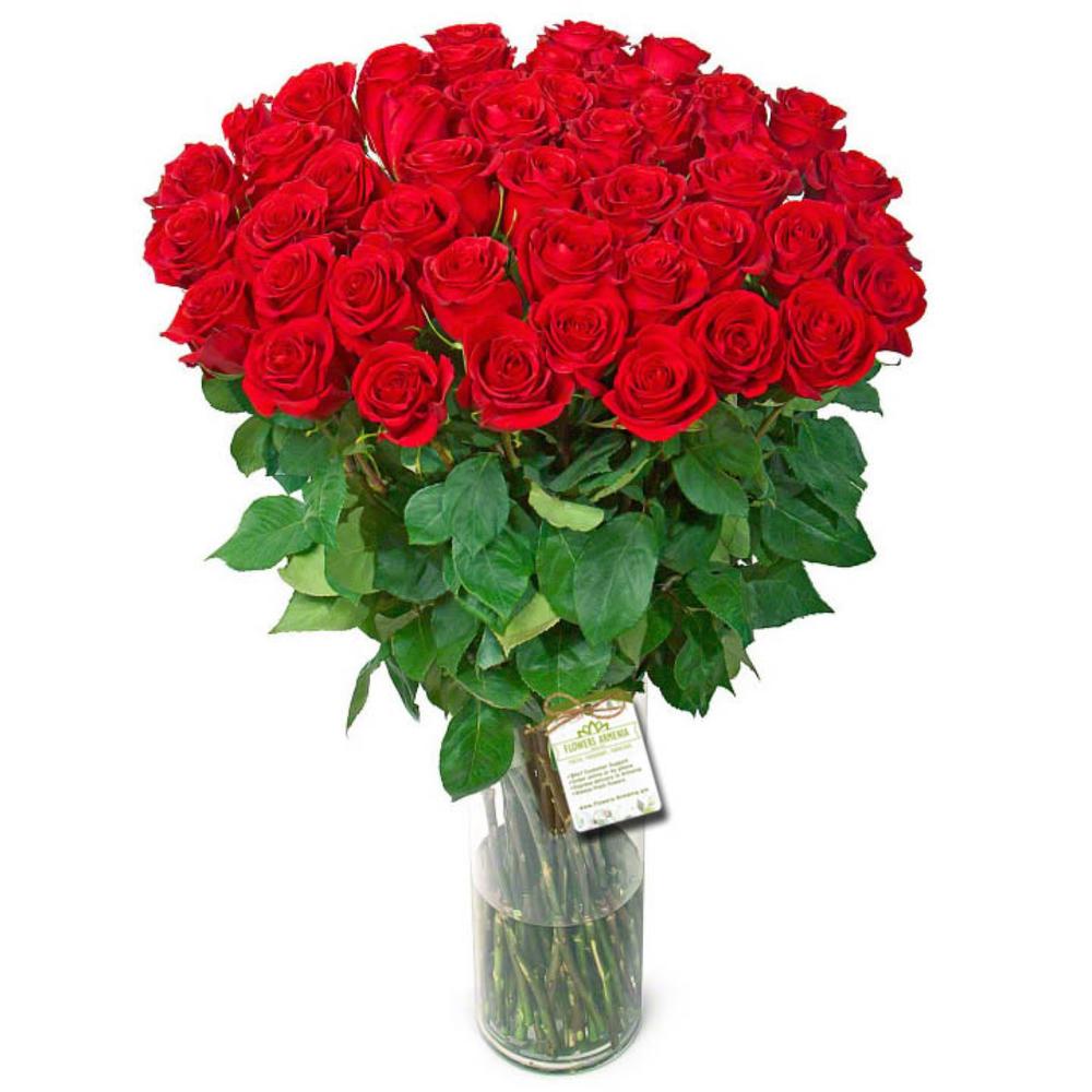 The Charm of the Red Rose