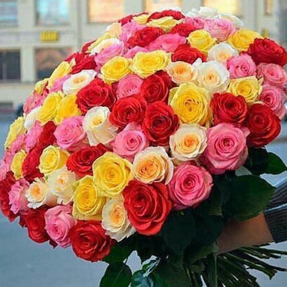 Разноцветная Красота