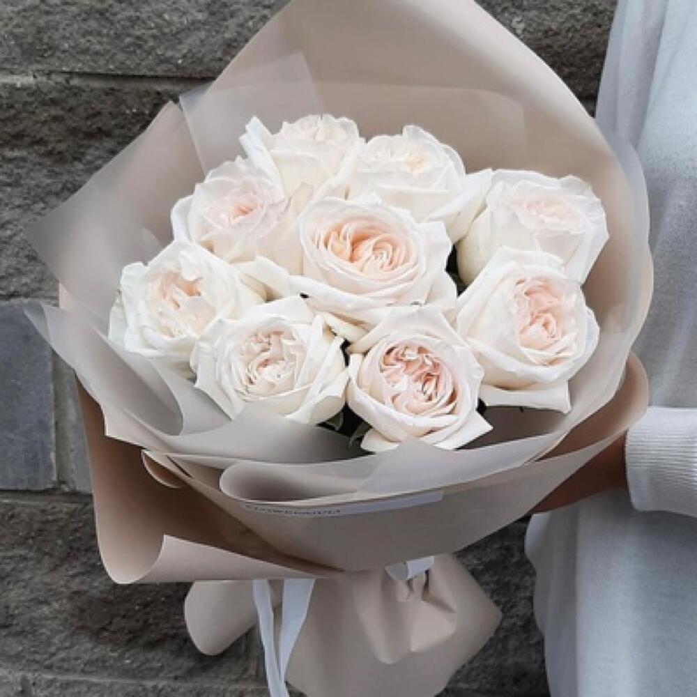 9 пииновидных роз Вайт Охара