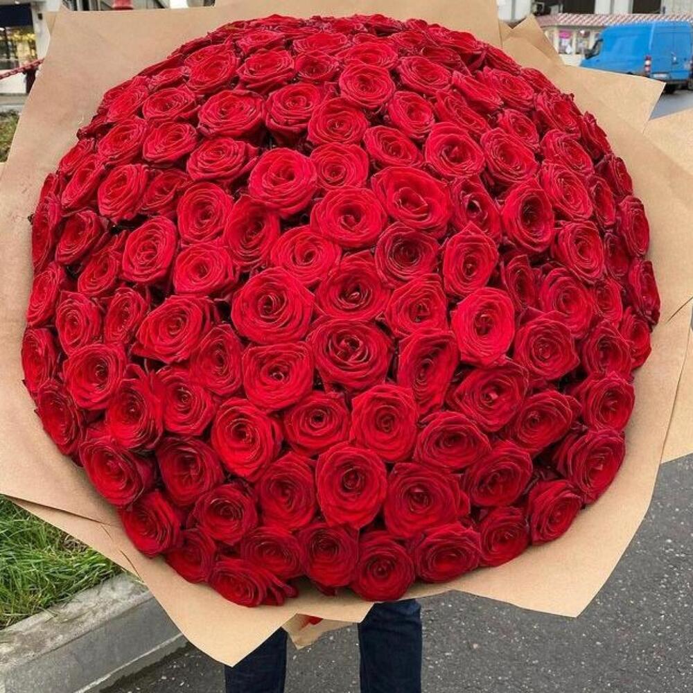 Без конечная любовь