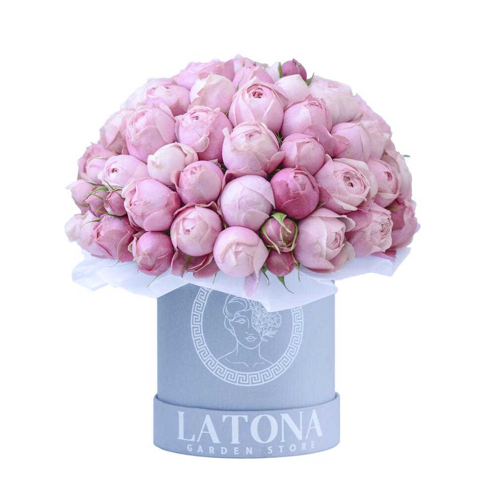 VENERA bush peony roses