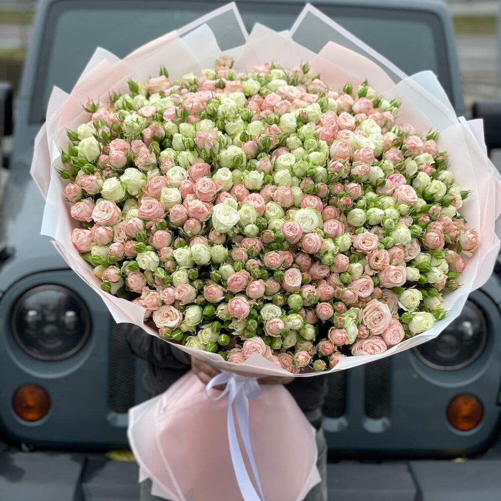 Spray rose XXL - MIX