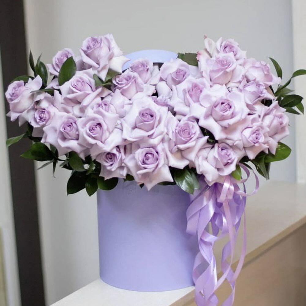 Коробка viver 1