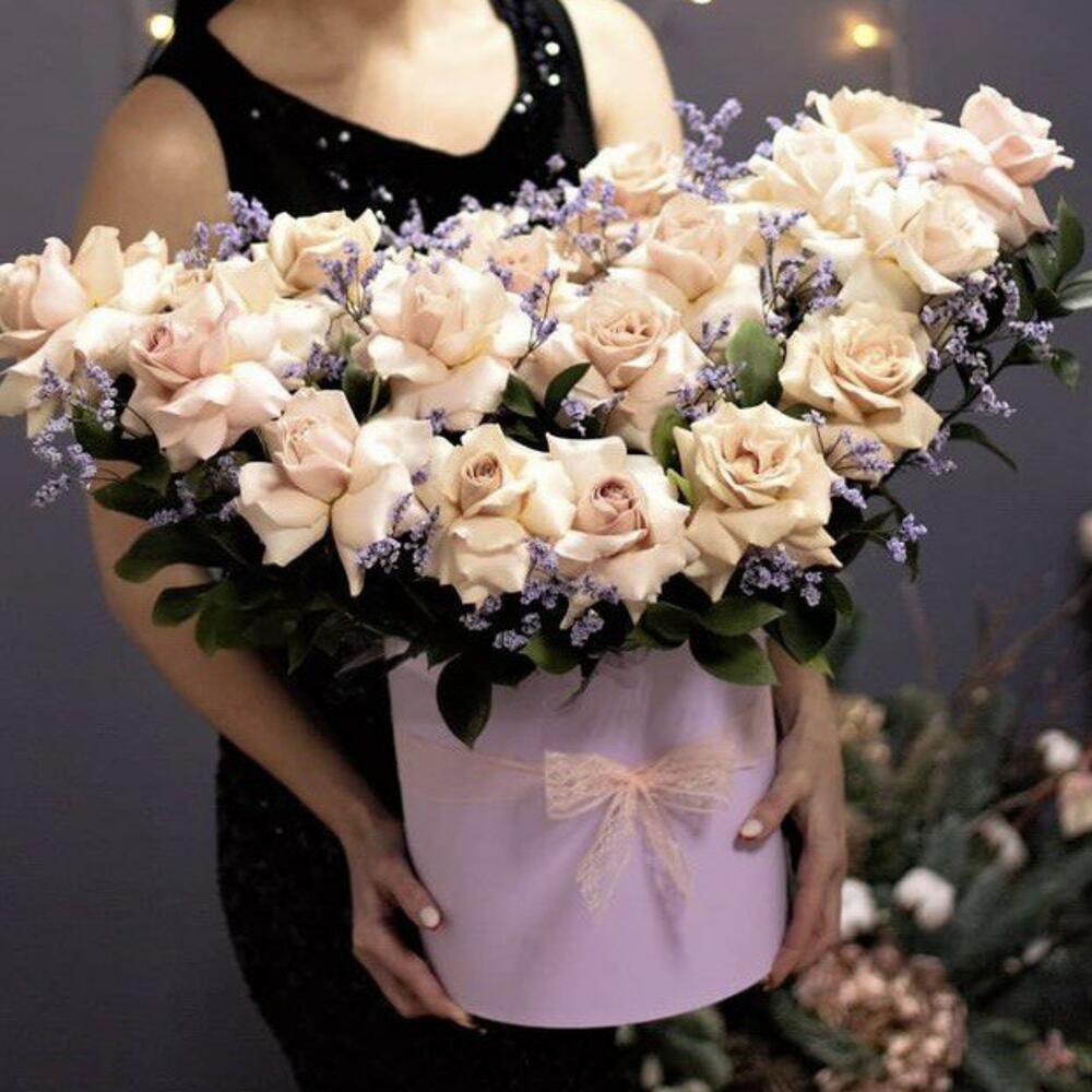 Коробка viver 5