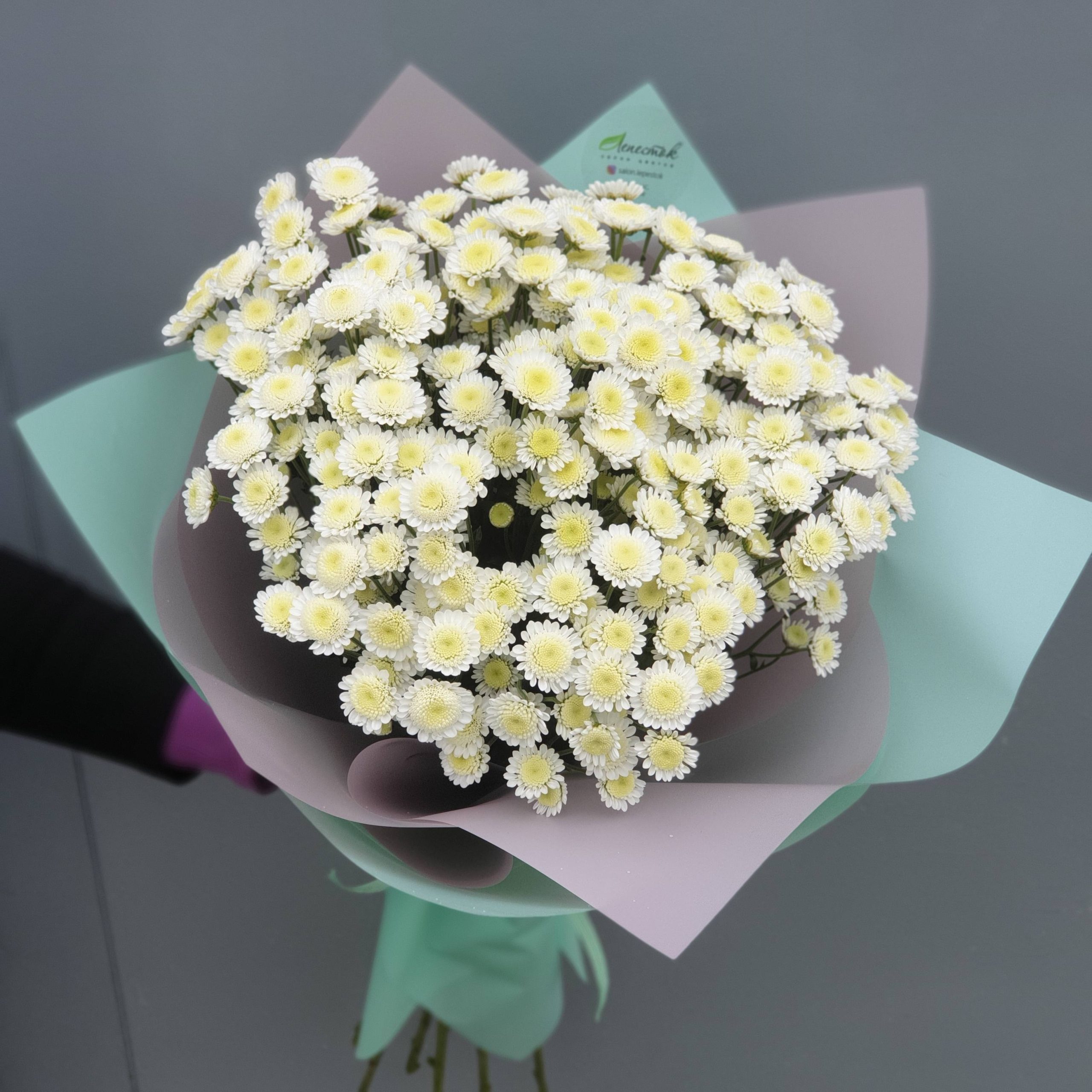 Букет из кустовых хризантем сталлион